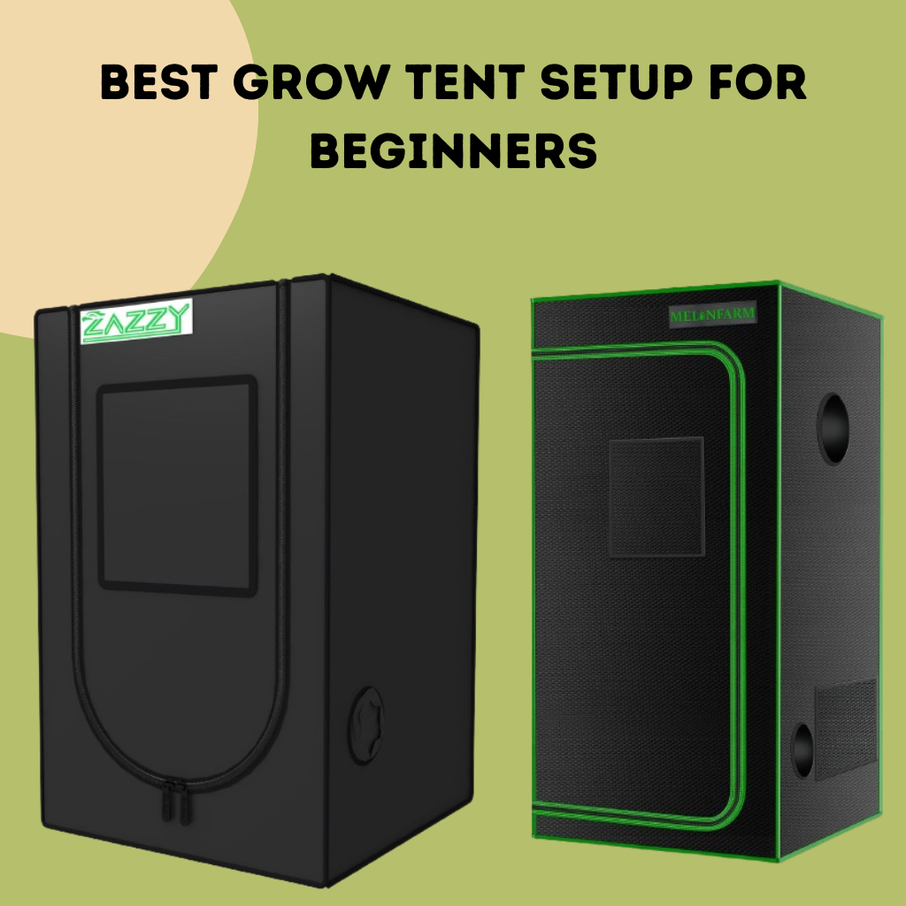 Best Grow Tent Setup for Beginners