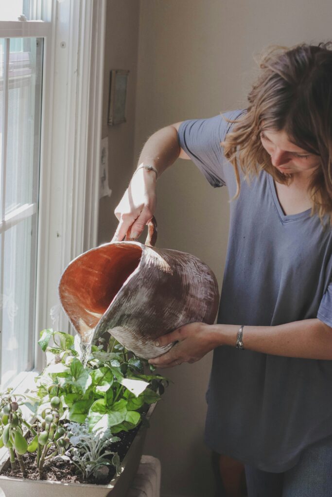 The Best Pot for a Happy Monstera